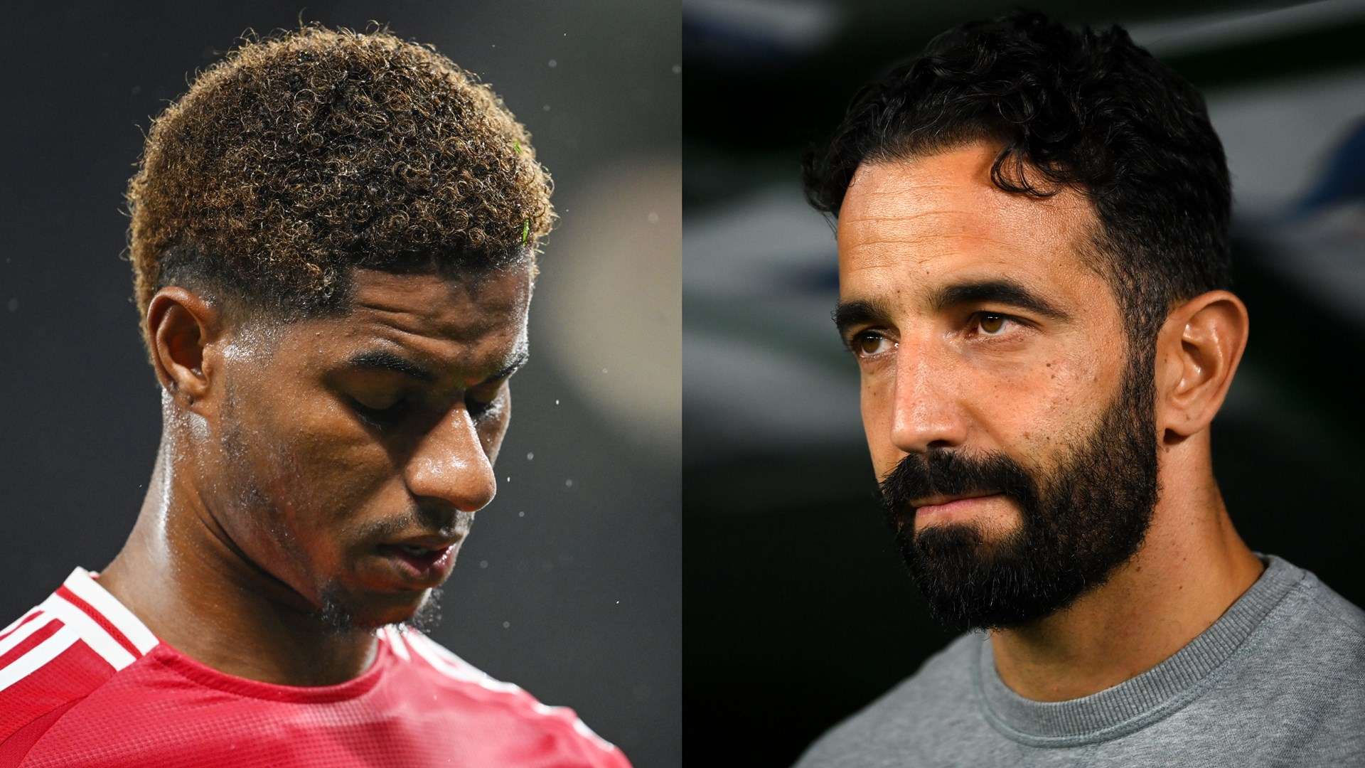 了一场没有 了一场没有